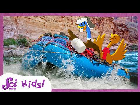 Water Made The Grand Canyon! | Scishow Kids