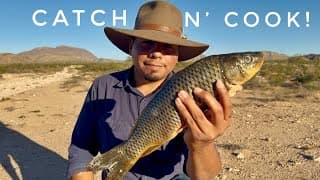 Cooking Carp And Making Spicy Fish Tostadas! Catch N Cook!
