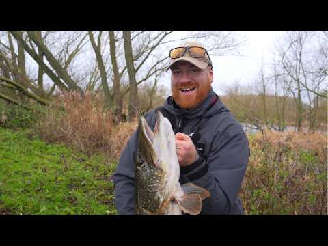 I Caught The River Giant! Pb River Pike