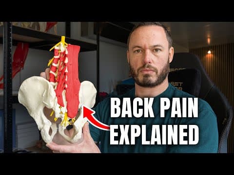 Everything You Need To Know About Back Pain (the Complete Guide)