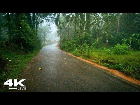 Heavy Rain Falling On A Tropical Green Village  | Asmr Rain Walk Compilation For Deep Sleep | No Ads