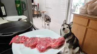 What Cooking Steaks Around A Husky Looks Like..
