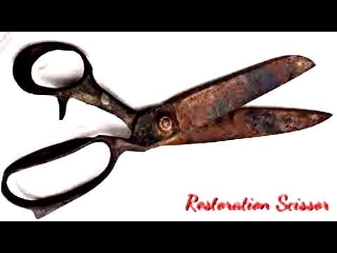 Restoring A Rusty Scissor Found In A Dumpster [2024]