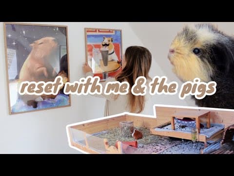 Reset With Me And My 4 Guinea Pigs