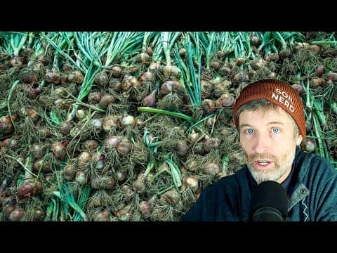How To Grow Shallots + Are Earwigs Good Or Bad?