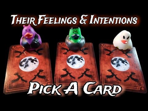 🧡👻🖤 Their Current Feelings & Intentions 🧡👻🖤 Pick A Card Love Reading