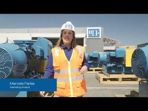 Wegmotion Drives: Motores Y Reductores Para Correas Transportadoras