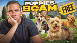 Don't Accept Free Puppies From Scammers!