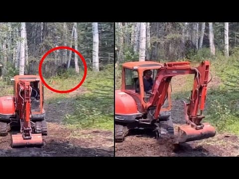 Logger Records Something Big Watching Him From The Trees