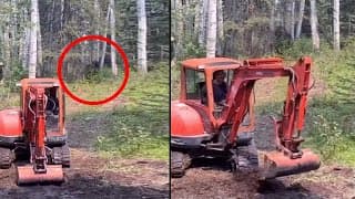 Logger Records Something Big Watching Him From The Trees