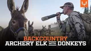 Elk Hunting With Donkeys | On The Hunt With Janis Putelis