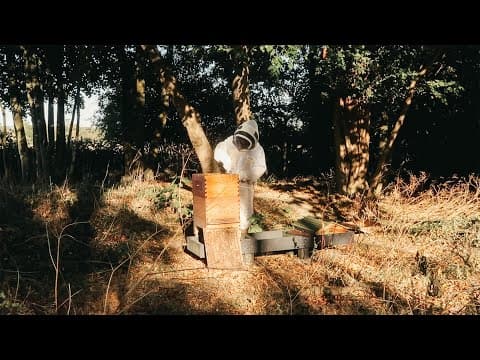 The Honey Harvest | Millen Gordon Home