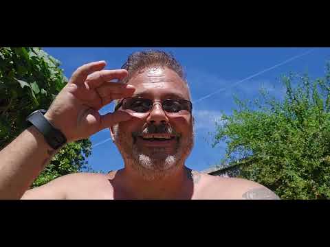 Little Update About Potential Yt Targeting Pap