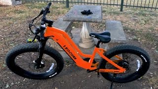 Leogaur Fastron Review