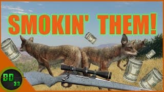 Fast Action Coyotes And Tons Of Money! Call Of The Wild
