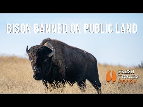 You Can't Graze Here! | Fresh Tracks Weekly (ep. 111)