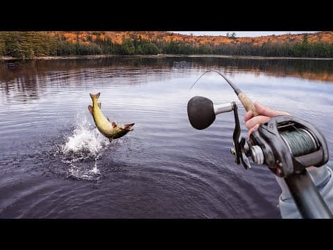 The Best Muskie Fishing Day Of My Life! -- Musky Mayhem