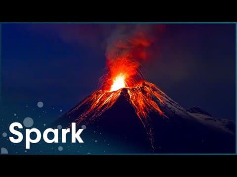 Why Are Some Animals Attracted To Volcanic Eruptions?