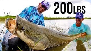 Fishing For 200lb Pond Monsters In Florida
