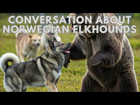 Expert Dog Breeder Reveals The Secrets Of Norwegian Elkhounds