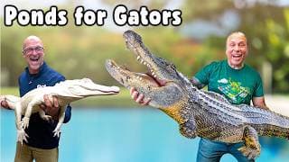 2 Massive Alligator Water Features With ​@brianbarczyk | Compilation Vlogs