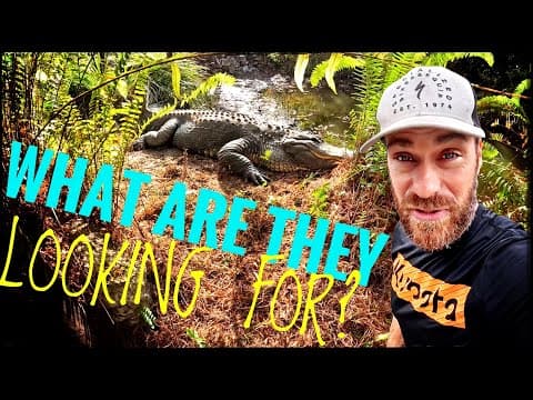 Inspection Time For My Crocodilians!