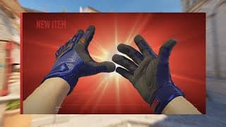 100 Gloves Cases = Gold