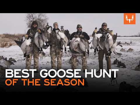 The Best Goose Hunt Of The Season | With Flying V