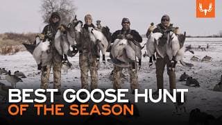 The Best Goose Hunt Of The Season | With Flying V