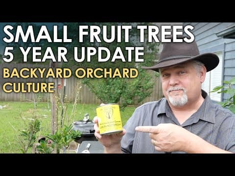 Small Fruit Trees 5 Year Update! || Black Gumbo