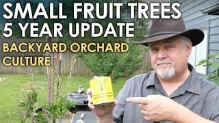 Small Fruit Trees 5 Year Update! || Black Gumbo