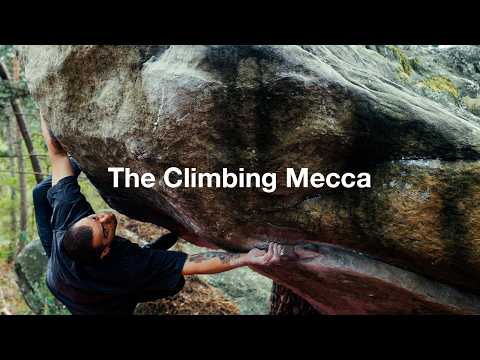 Why Fontainebleau Is Every Climber’s Dream