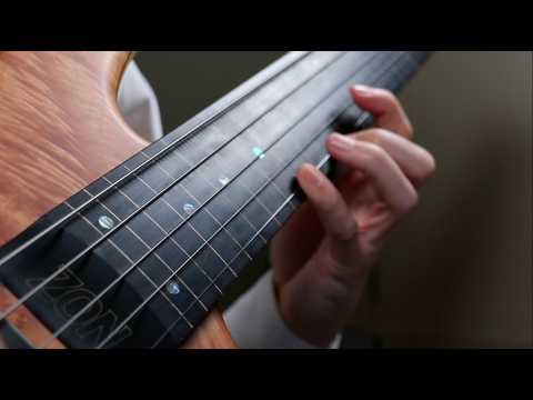 (1 Hour) Dreamlike Melodies On Fretless Bass & Ebow