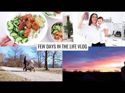 Vlog | Healthy Salmon Bowls, Simplifying Wellness & Embracing Winter | Annie Jaffrey