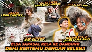 Eca Aura Masuk Kandang Harimau Ketemu Selen ! Ada 1 Korban Akibat selen !