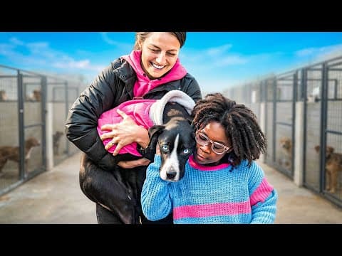 Rescuing A Dog From The Shelter