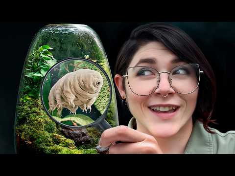 How To Find Your Own Tardigrades