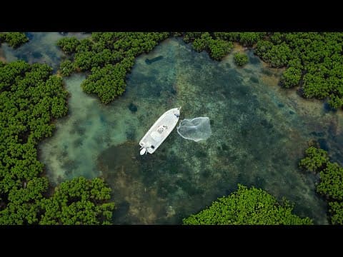 Exploring Honey Holes Every Fisherman Wants To Find.