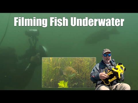 How To Film Fish Underwater