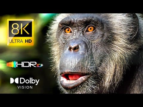 Ultimate Animal Facts / 4k Video Ultra Hd / 60fps Dolby Atmos