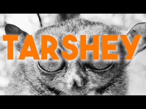 Abra - Tarshey