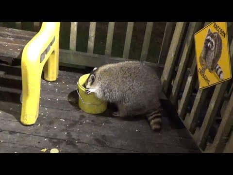 Diner Slow Again Tonight Because Of Rain