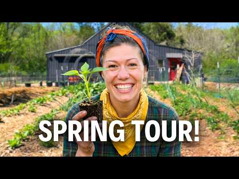 The Lazy Garden Is Back!! | Full Spring Garden Tour 2026!