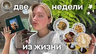Обычная Жизнь | Рецепт Завтрака, Кинопоказ, Ремонт В Кафе И Тренировки