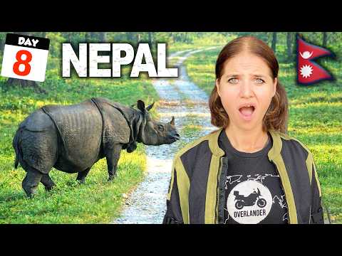 We Tried A $30 Safari In Nepal… Here’s What Happened 😮