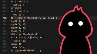 Innocent Looking Backdoor Found In Universities And Government Systems