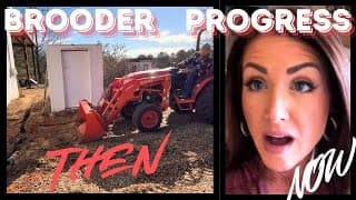 We Built A Chicken Brooder | Diy Progress On The Build