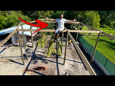 Aviary Mesh Nearly Complete, But We Hit A Problem! Pt. 3