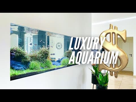 400 Liters Aquascape Tutorial After 1,095 Days