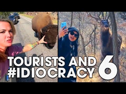 Tourists And #idiocracy 6